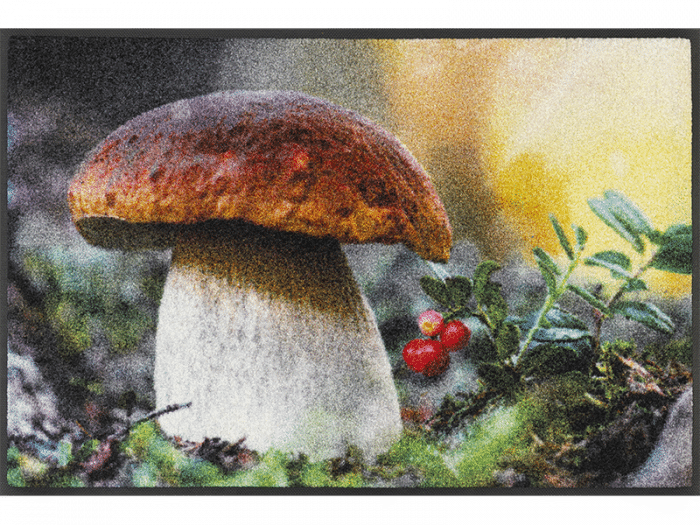 steinpilz_50x75cm_02_9010216060713_draufsicht.png