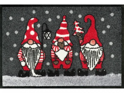 שטיח כניסה לבית דגם Winterzwerge