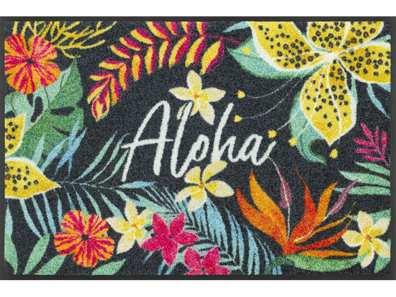 Aloha_50x75cm_02_9010216070125_DRAUFSICHT_800x600-1.png