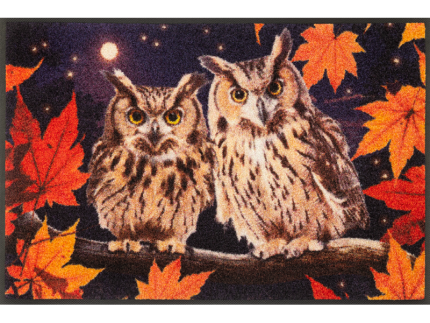 שטיח דגם ינשופי הלילה