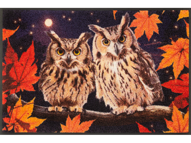 Night-Owls_50x75cm_02_9010216073362_DRAUFSICHT_800x600-2.png