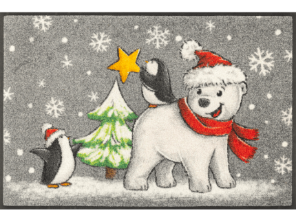 שטיח דגם אנטרטיקה